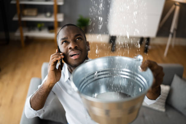 Best Ceiling water damage repair  in Binghamton University, NY