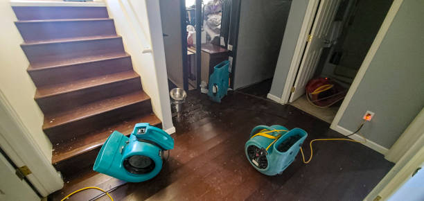 Best Carpet water damage restoration  in Binghamton University, NY