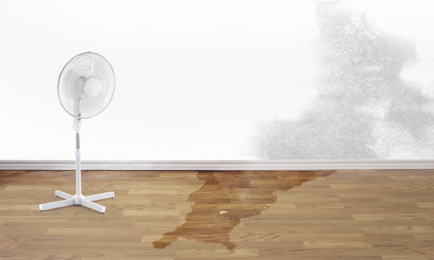 Best Water damage restoration process  in Binghamton University, NY