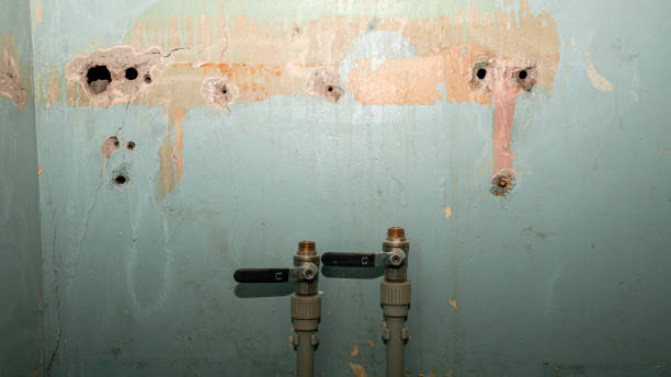 Best Water damage contractors near me  in Binghamton University, NY