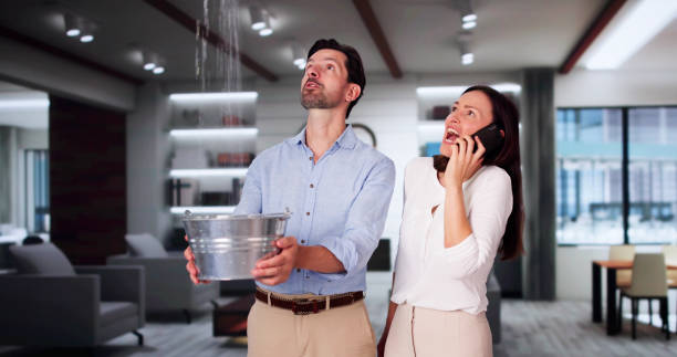 Best Water damage restoration near me  in Binghamton University, NY
